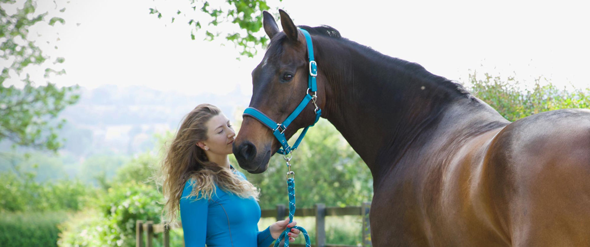 Contour Head Collar